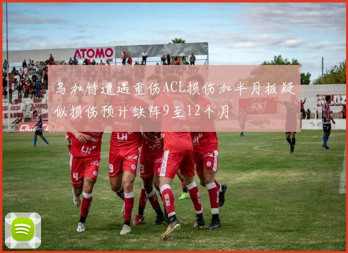 乌加特遭遇重伤ACL损伤加半月板疑似损伤预计缺阵9至12个月