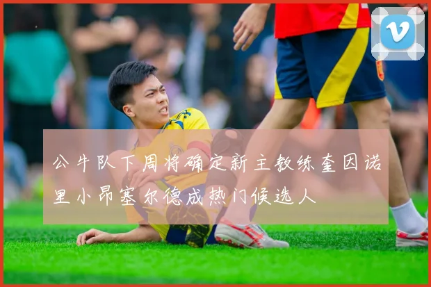 公牛队下周将确定新主教练奎因诺里小昂塞尔德成热门候选人